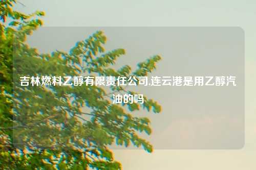 吉林燃料乙醇有限责任公司,连云港是用乙醇汽油的吗