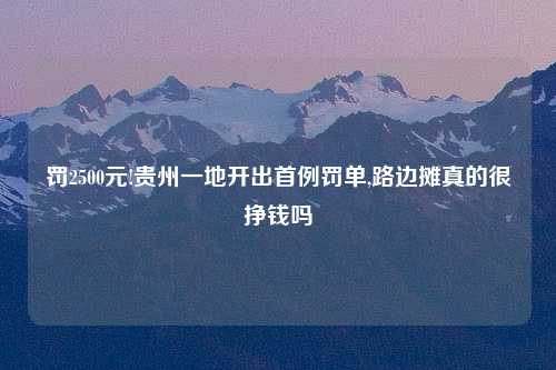 罚2500元!贵州一地开出首例罚单,路边摊真的很挣钱吗