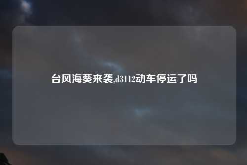 台风海葵来袭,d3112动车停运了吗