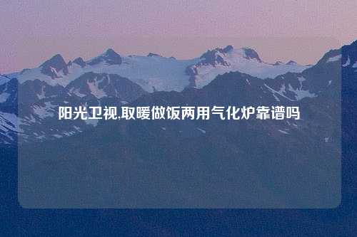 阳光卫视,取暖做饭两用气化炉靠谱吗