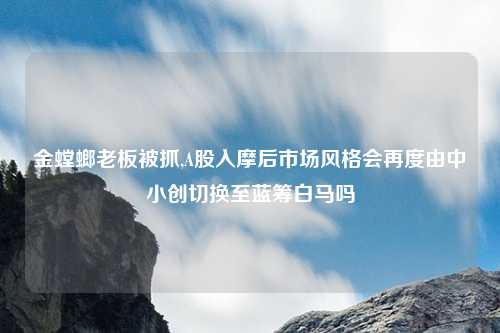 金螳螂老板被抓,A股入摩后市场风格会再度由中小创切换至蓝筹白马吗