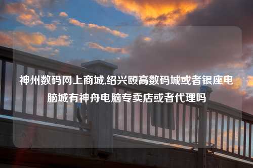 神州数码网上商城,绍兴颐高数码城或者银座电脑城有神舟电脑专卖店或者代理吗
