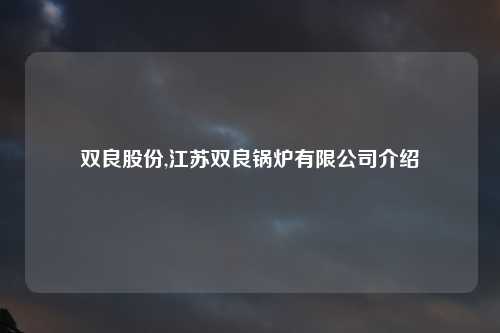 双良股份,江苏双良锅炉有限公司介绍
