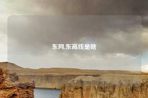 东网,东高线是啥