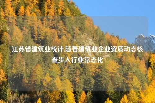 江苏省建筑业统计,随着建筑业企业资质动态核查步入行业常态化