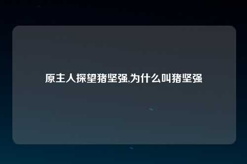 原主人探望猪坚强,为什么叫猪坚强