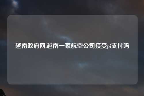 越南政府网,越南一家航空公司接受pi支付吗