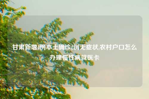 甘肃新增4例本土确诊2例无症状,农村户口怎么办理慢性病就医卡