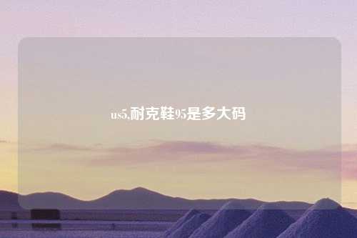 us5,耐克鞋95是多大码