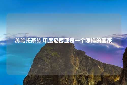 苏哈托家族,印度尼西亚是一个怎样的国家