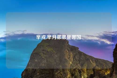 芈戎,芈月弟弟是哪国