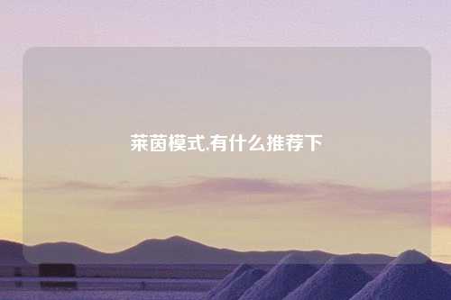 莱茵模式,有什么推荐下
