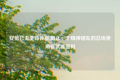 安倍已无生命体征,阻止一个精神错乱的总统使用核武器密码