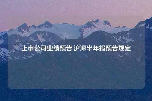上市公司业绩预告,沪深半年报预告规定