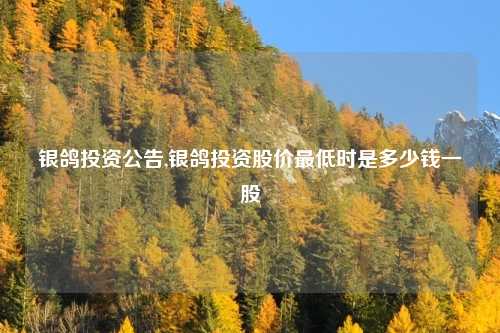 银鸽投资公告,银鸽投资股价最低时是多少钱一股