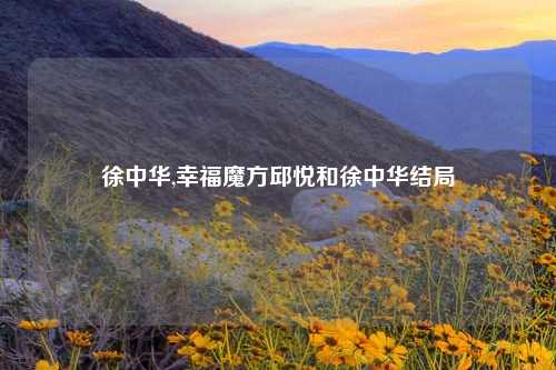 徐中华,幸福魔方邱悦和徐中华结局