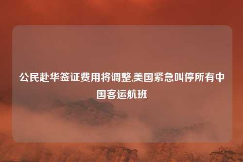 公民赴华签证费用将调整,美国紧急叫停所有中国客运航班