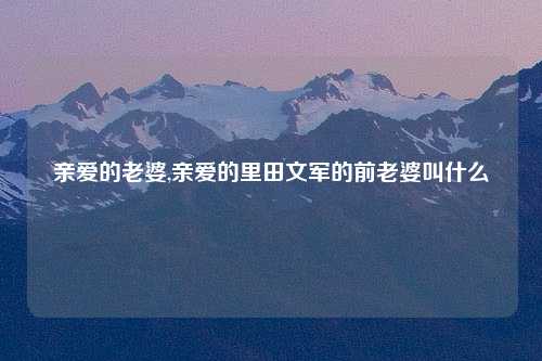 亲爱的老婆,亲爱的里田文军的前老婆叫什么