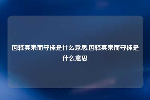 因释其耒而守株是什么意思,因释其耒而守株是什么意思