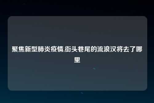 聚焦新型肺炎疫情,街头巷尾的流浪汉将去了哪里