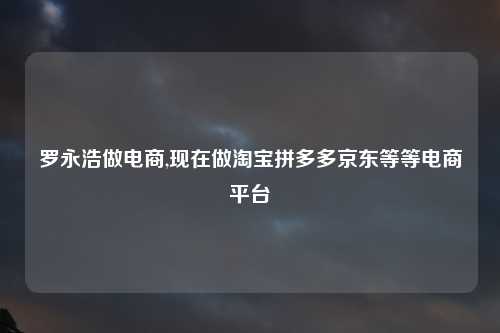 罗永浩做电商,现在做淘宝拼多多京东等等电商平台