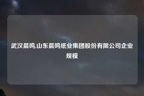 武汉晨鸣,山东晨鸣纸业集团股份有限公司企业规模