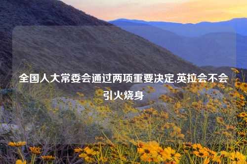 全国人大常委会通过两项重要决定,英拉会不会引火烧身