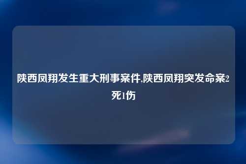陕西凤翔发生重大刑事案件,陕西凤翔突发命案2死1伤