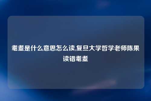 耄耋是什么意思怎么读,复旦大学哲学老师陈果读错耄耋
