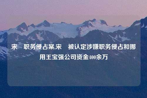 宋喆职务侵占案,宋喆被认定涉嫌职务侵占和挪用王宝强公司资金400余万