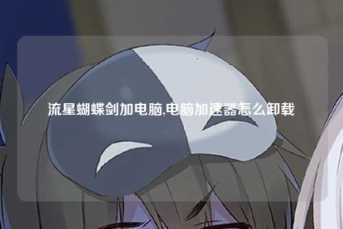 流星蝴蝶剑加电脑,电脑加速器怎么卸载