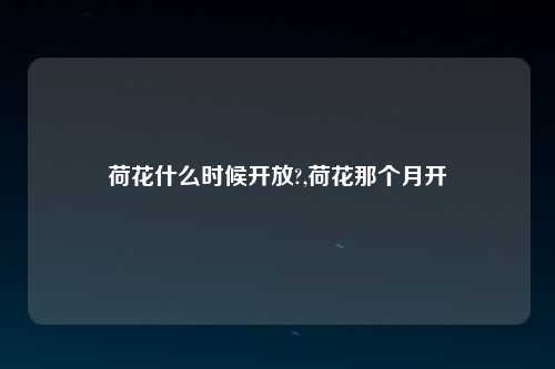 荷花什么时候开放?,荷花那个月开