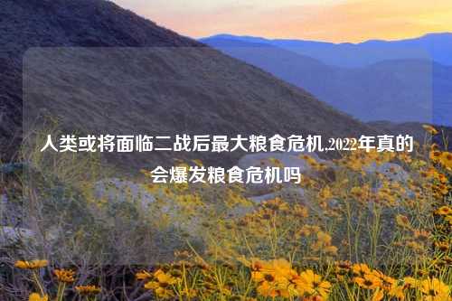 人类或将面临二战后最大粮食危机,2022年真的会爆发粮食危机吗