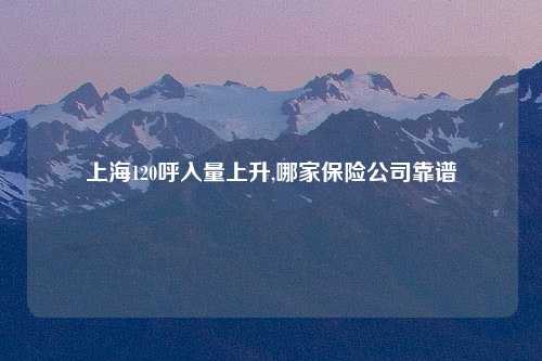 上海120呼入量上升,哪家保险公司靠谱