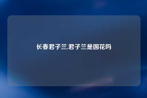 长春君子兰,君子兰是国花吗