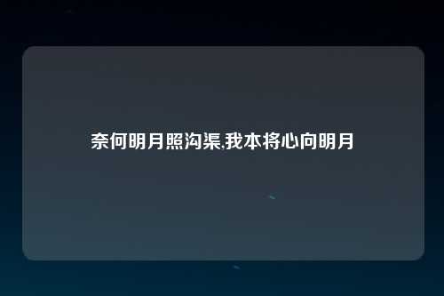 奈何明月照沟渠,我本将心向明月