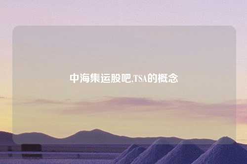 中海集运股吧,TSA的概念