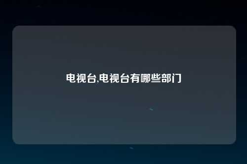 电视台,电视台有哪些部门