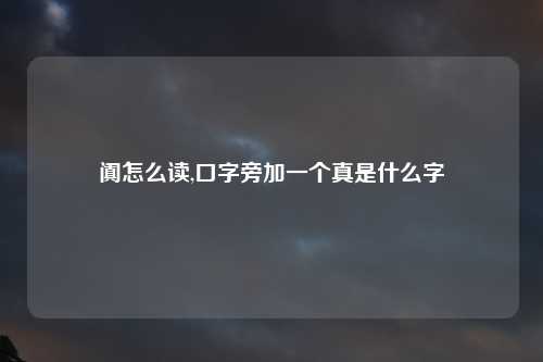 阗怎么读,口字旁加一个真是什么字