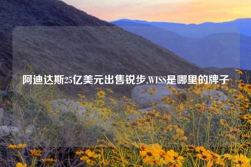 阿迪达斯25亿美元出售锐步,WISS是哪里的牌子