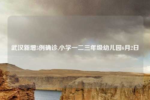 武汉新增5例确诊,小学一二三年级幼儿园6月2日