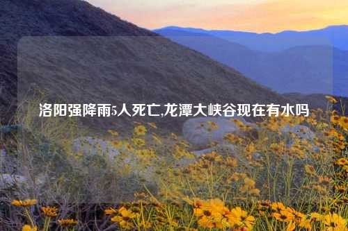 洛阳强降雨5人死亡,龙潭大峡谷现在有水吗