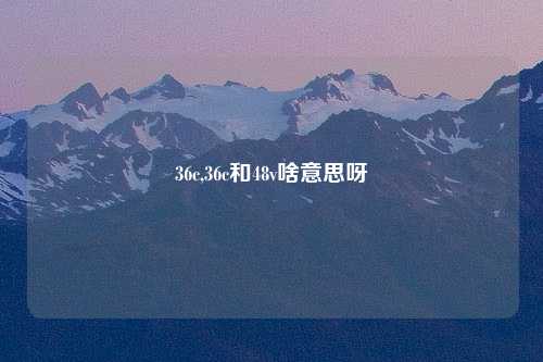 36c,36c和48v啥意思呀