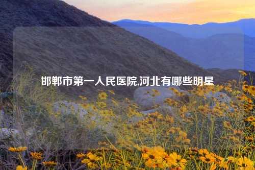 邯郸市第一人民医院,河北有哪些明星