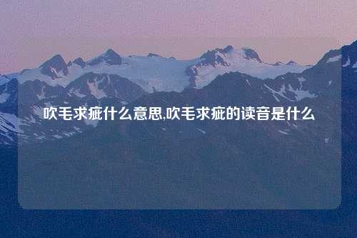 吹毛求疵什么意思,吹毛求疵的读音是什么