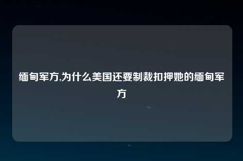 缅甸军方,为什么美国还要制裁扣押她的缅甸军方