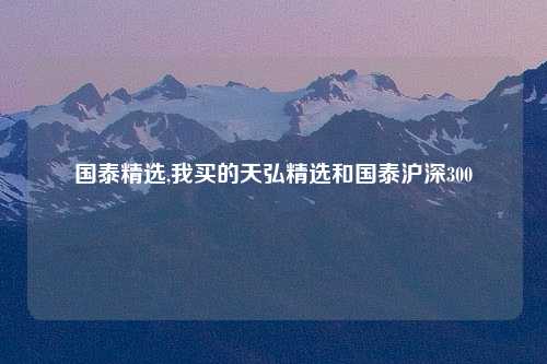 国泰精选,我买的天弘精选和国泰沪深300