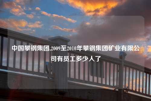 中国攀钢集团,2009至2010年攀钢集团矿业有限公司有员工多少人了