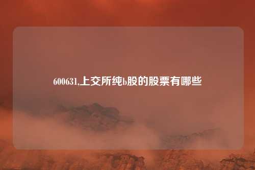 600631,上交所纯b股的股票有哪些