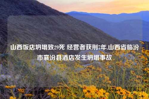 山西饭店坍塌致29死 经营者获刑7年,山西省临汾市襄汾县酒店发生坍塌事故